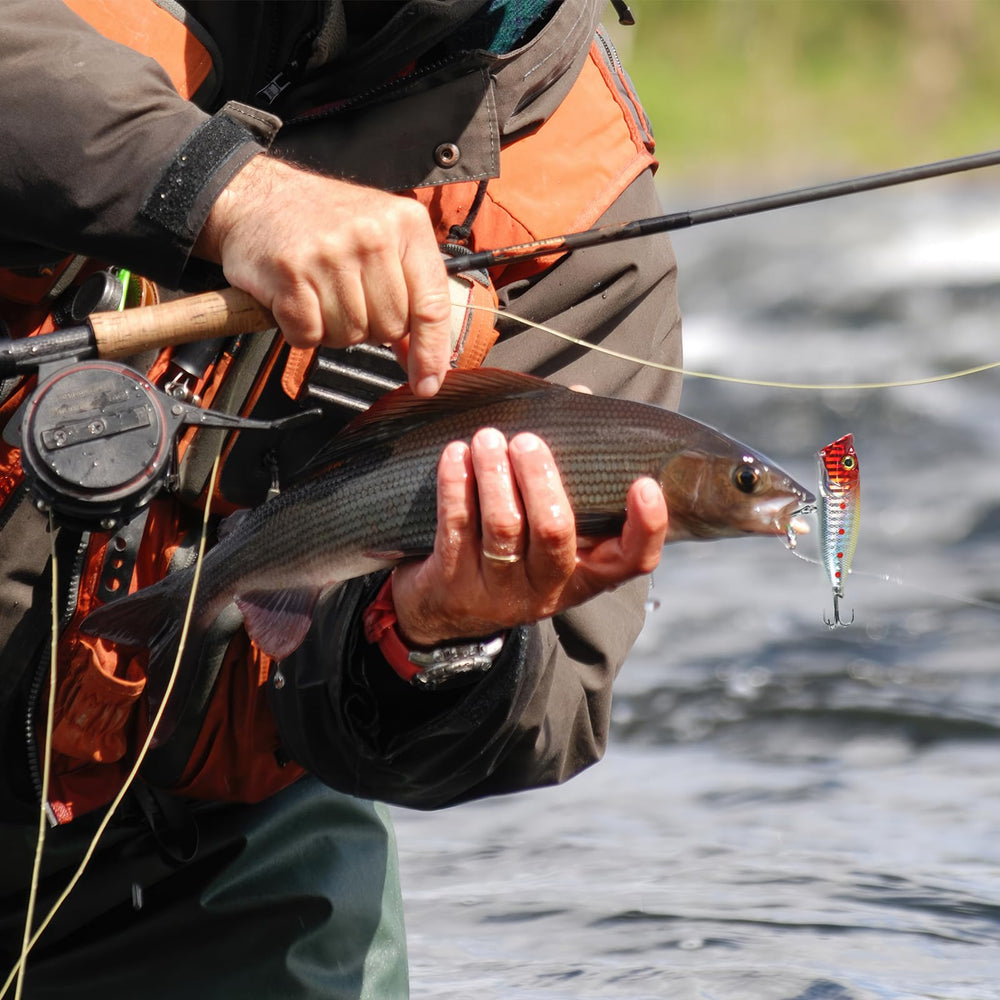 Assorted soft plastic baits and jig heads included in the kit