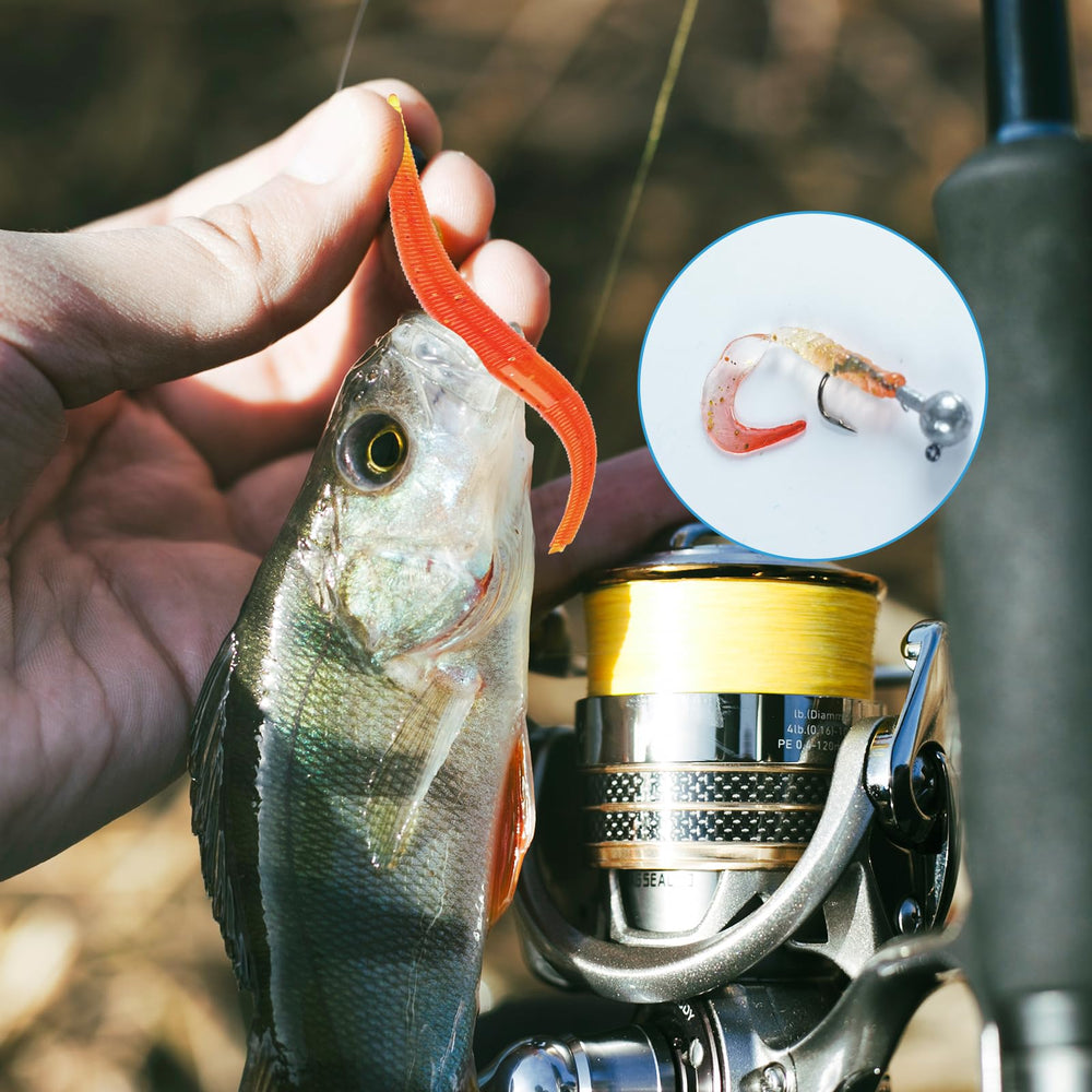 Diverse lure types: popper, pencil, minnow, crankbait in kit