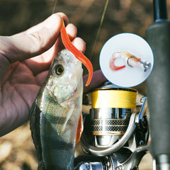 Diverse lure types: popper, pencil, minnow, crankbait in kit