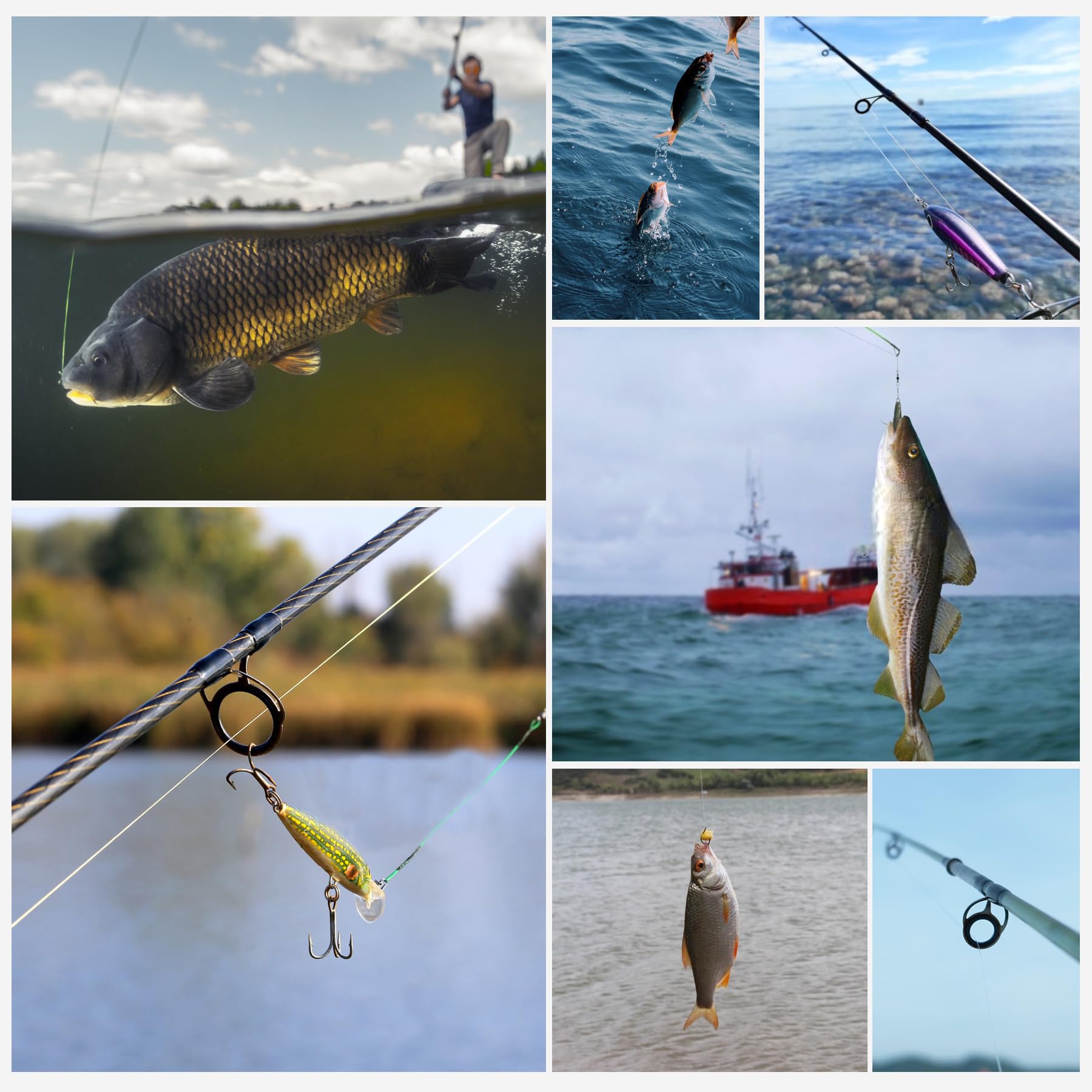9KM DWLIFE all-waters performance image highlights reliable strength for bass, walleye, offshore