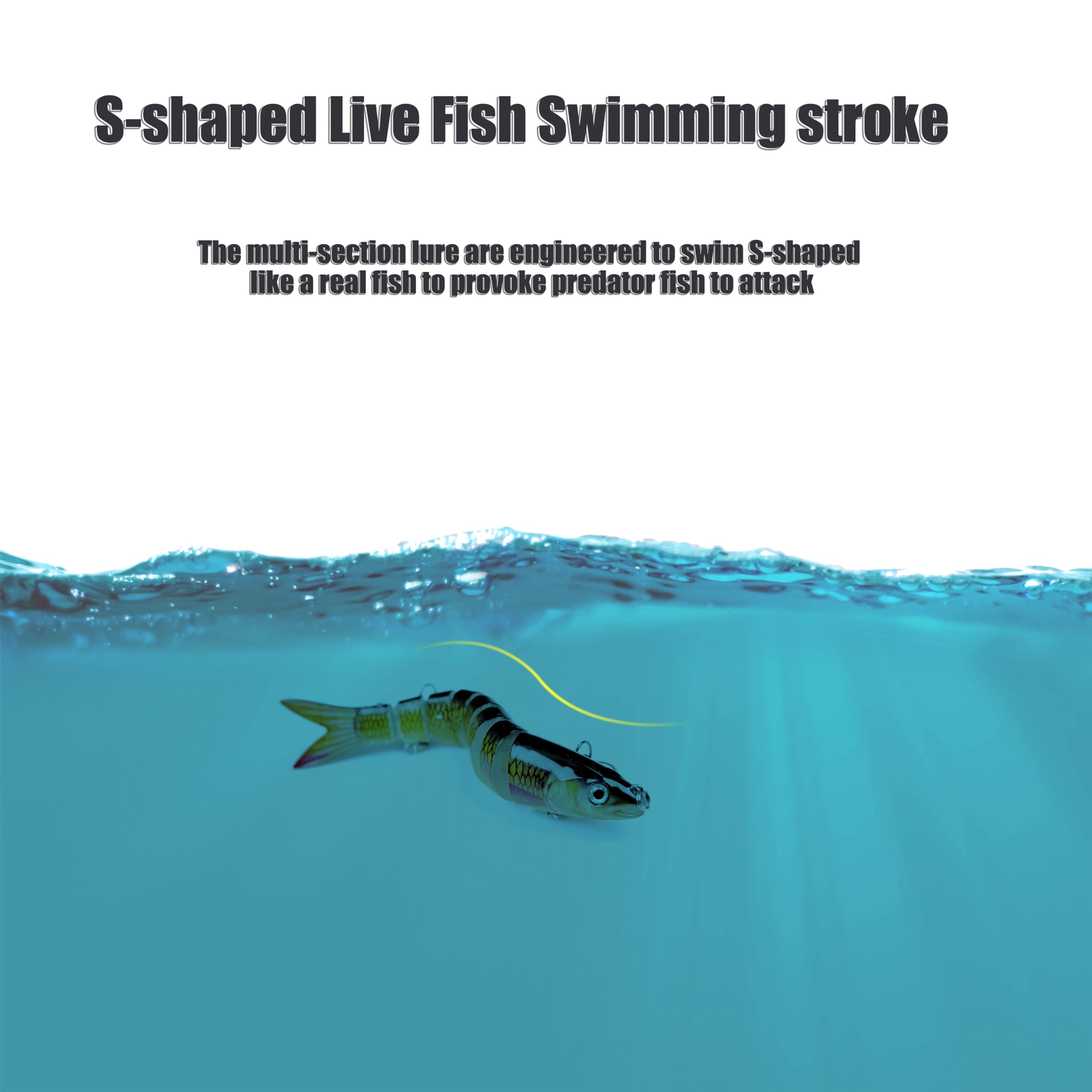 Versatile freshwater and saltwater EXAURAFELIS swimbait kit for multiple species