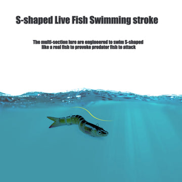 Versatile freshwater and saltwater EXAURAFELIS swimbait kit for multiple species