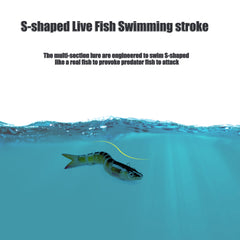 Versatile freshwater and saltwater EXAURAFELIS swimbait kit for multiple species