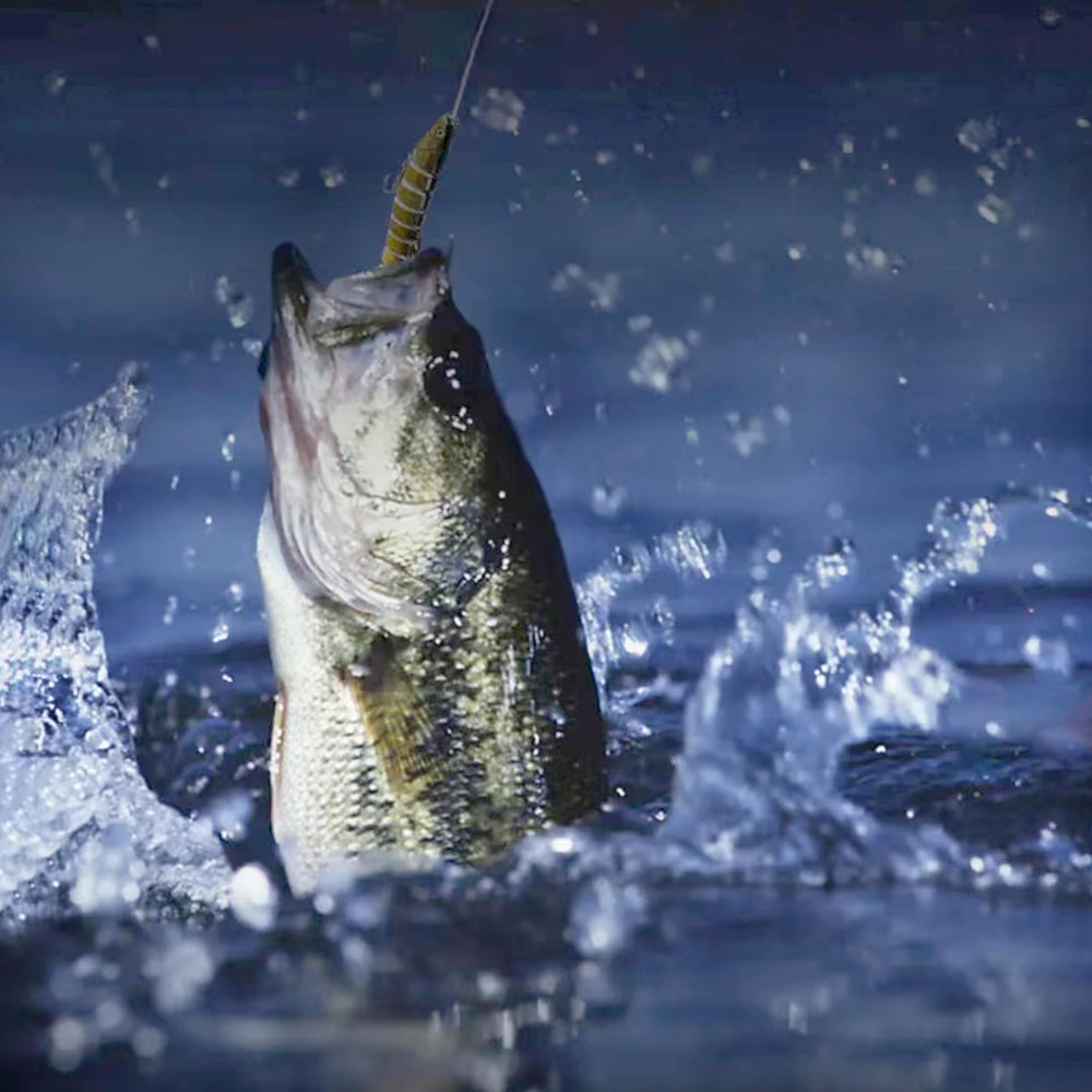 EXAURAFELIS swimbaits kit in 5 colors for varied fishing conditions