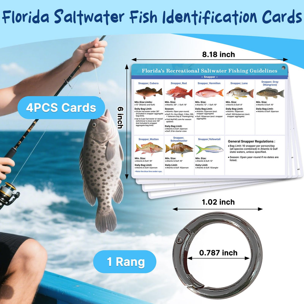 OCQOT Florida Saltwater Fish & Shark ID Card 1 Back - Species List & Regulations