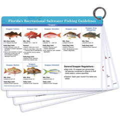 OCQOT Florida Saltwater Fish & Shark ID Card 1 Front - 80+ Real Photos
