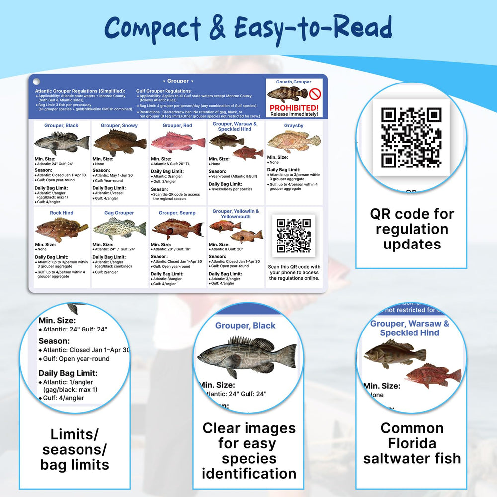 OCQOT Florida Saltwater Fish & Shark ID Card 2 Front - Fish Gallery