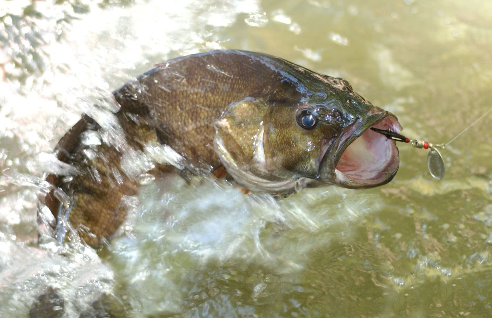 Portable carry bag included with PLUSINNO spinner lures