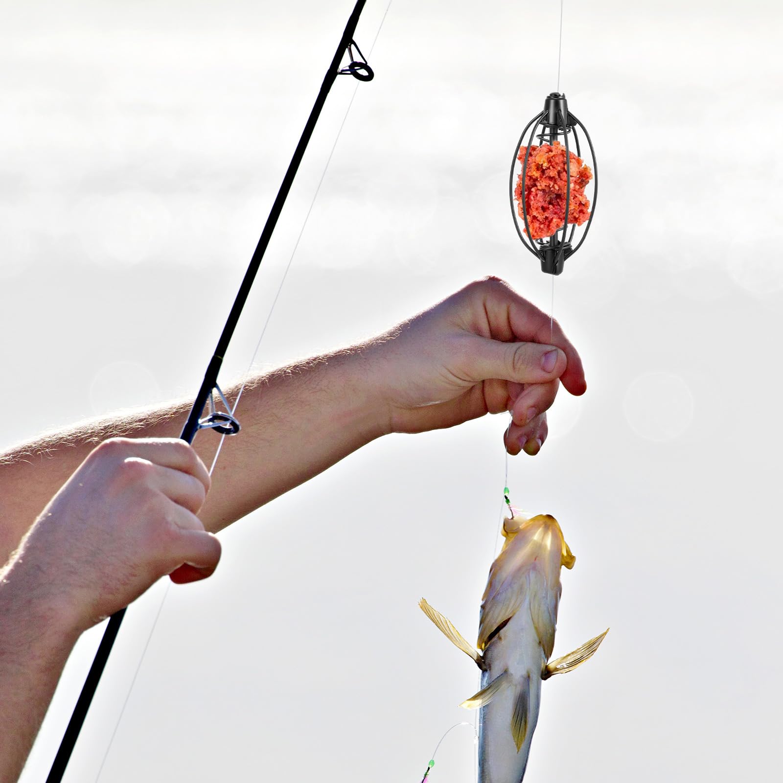 Bait cage held in hand for size reference