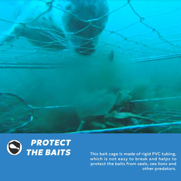 Durable seal-proof bait cage for predators