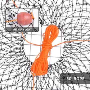 Orange harness and float on double ring crab trap for visibility