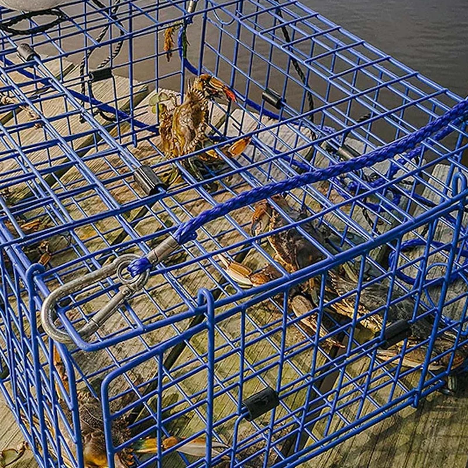 Two-pack set of Dungeness crab traps for West Coast use