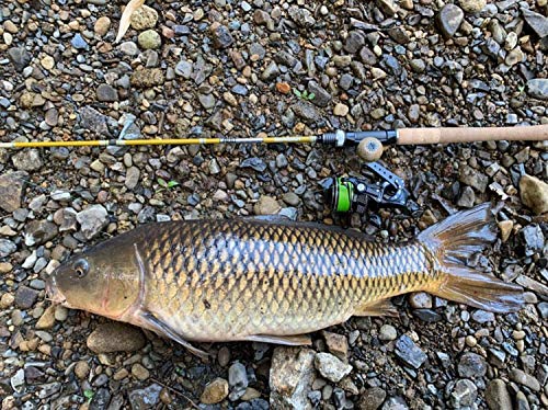 Abu Garcia Zoom Safari ready-to-use pack for beach, river, and pier