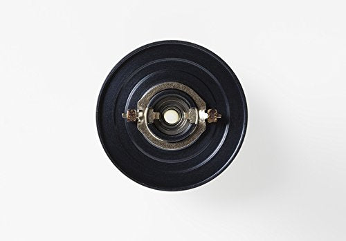 AbuGarcia Ambassadeur 5500CS champagne gold reel drag adjustment area
