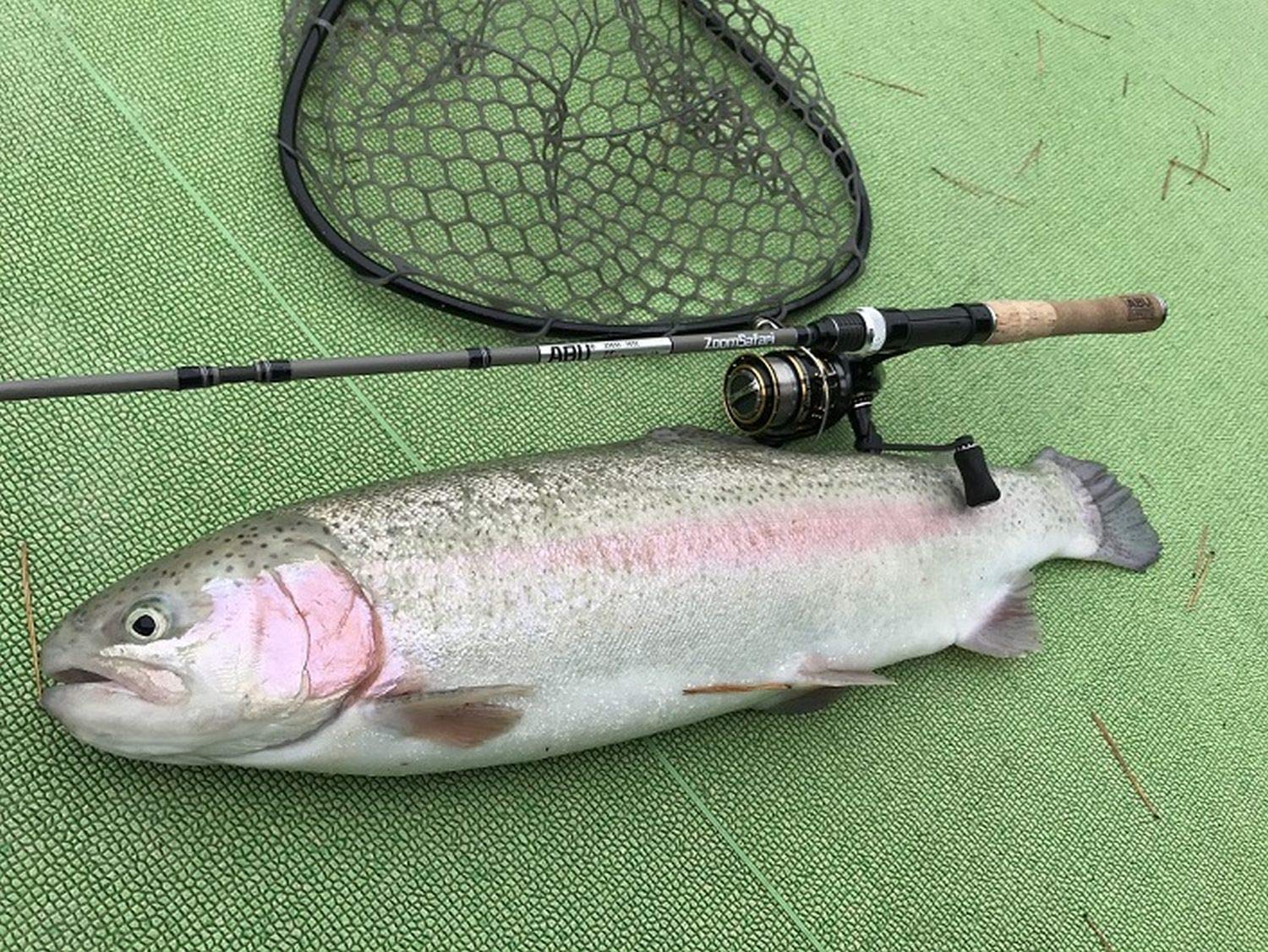 Abu Garcia kid-friendly beginner rod ready for learning casting.