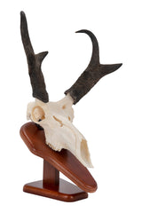 AC ALLEN flush skull stand insert for clean, seamless mounting