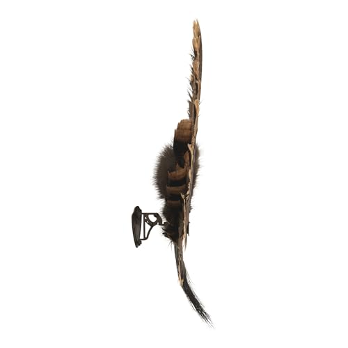 AC ALLEN Turkey Fan Display wall mount angle enables flexible placement.