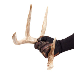 AC ALLEN Vanish camo gloves keeps bugs away with breathable design