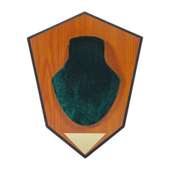 AC ALLEN wood-grain laminated plaque adds classic display appeal.