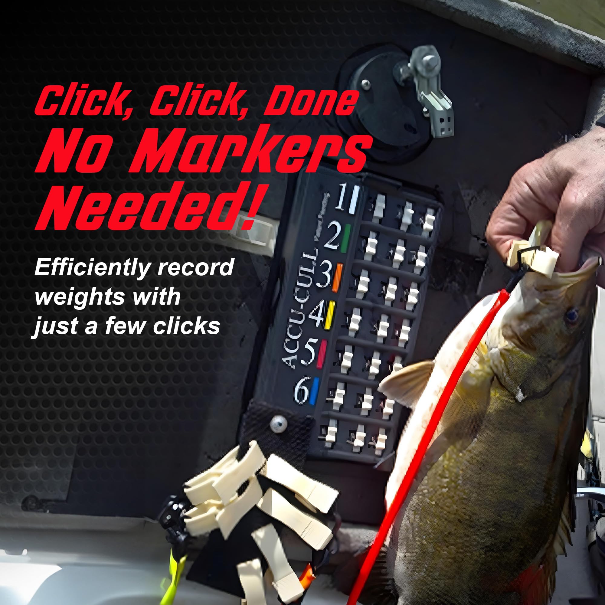 Accu Cull digital weight display for quick, accurate catch weighing.