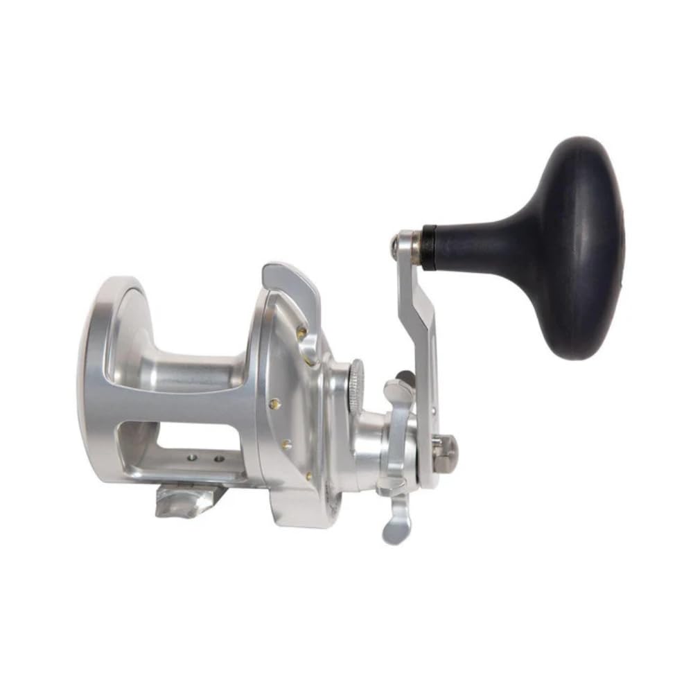 ACCURATE Tern2 TXD ABEC 5 bearings enable quick, responsive performance.