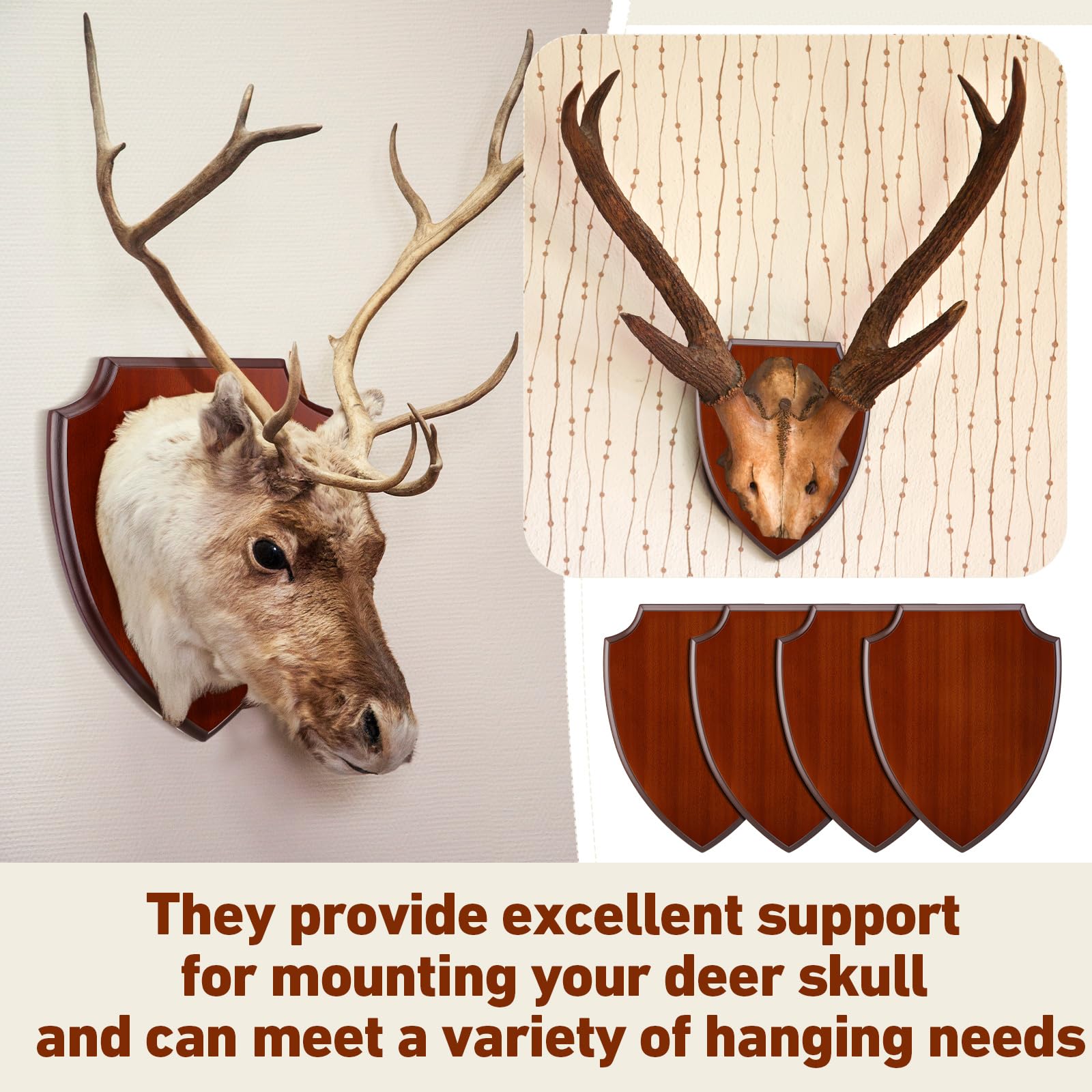 AceOrbit easy-installation hardware simplifies hanging your skulls.
