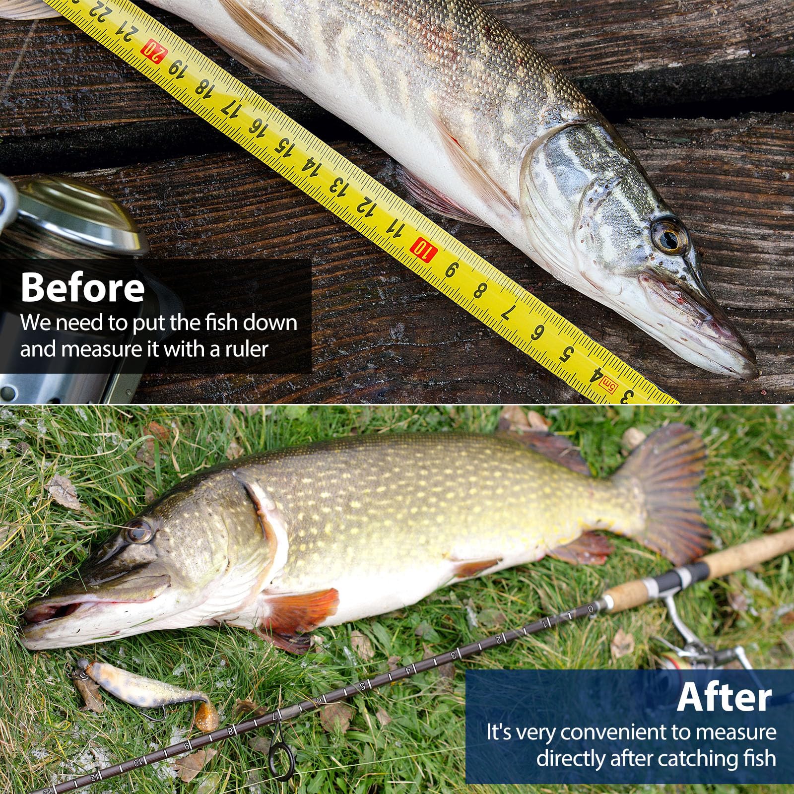 Sticker applied to fishing rod for direct measurement