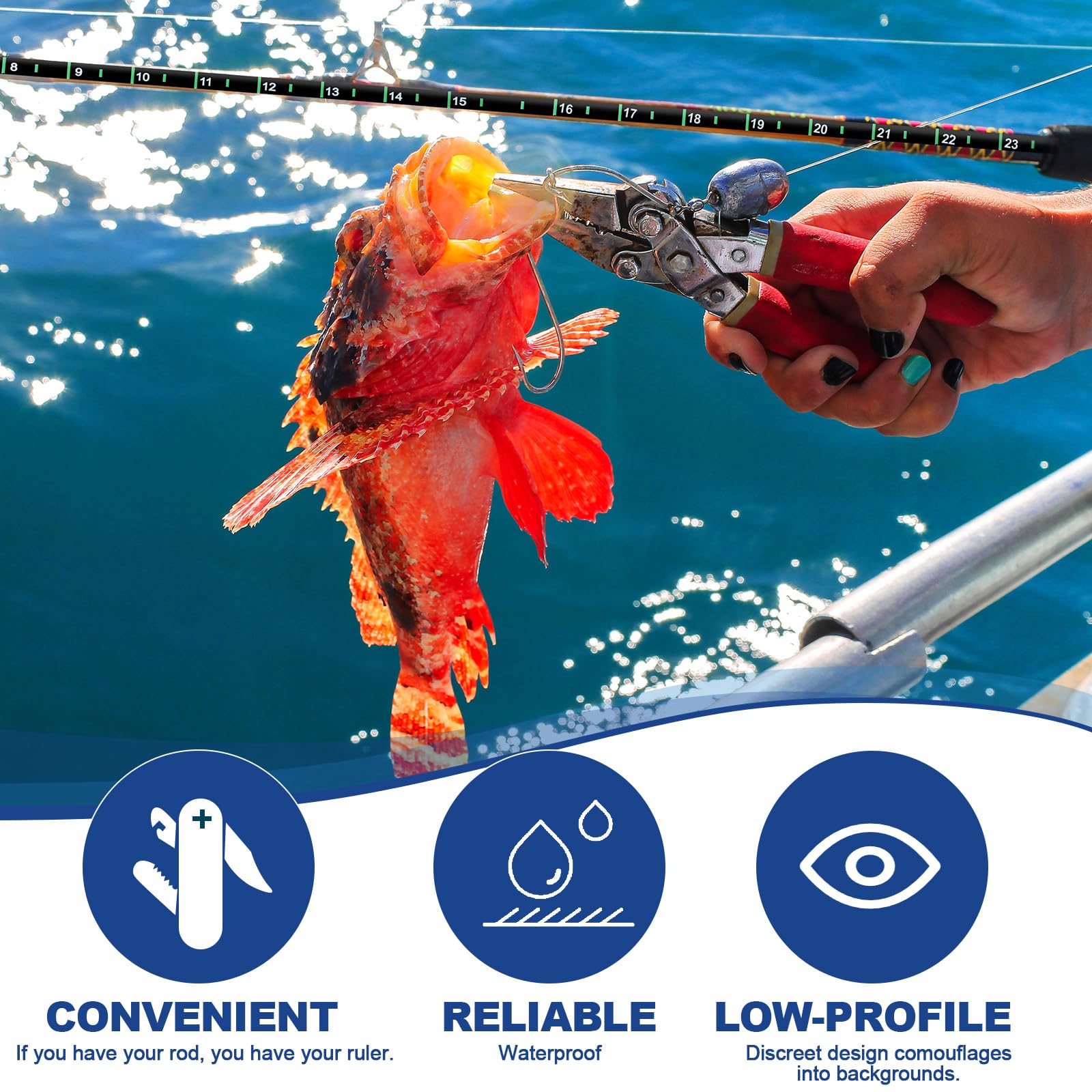 Green vinyl fish measuring decal with prominent measurement numbers