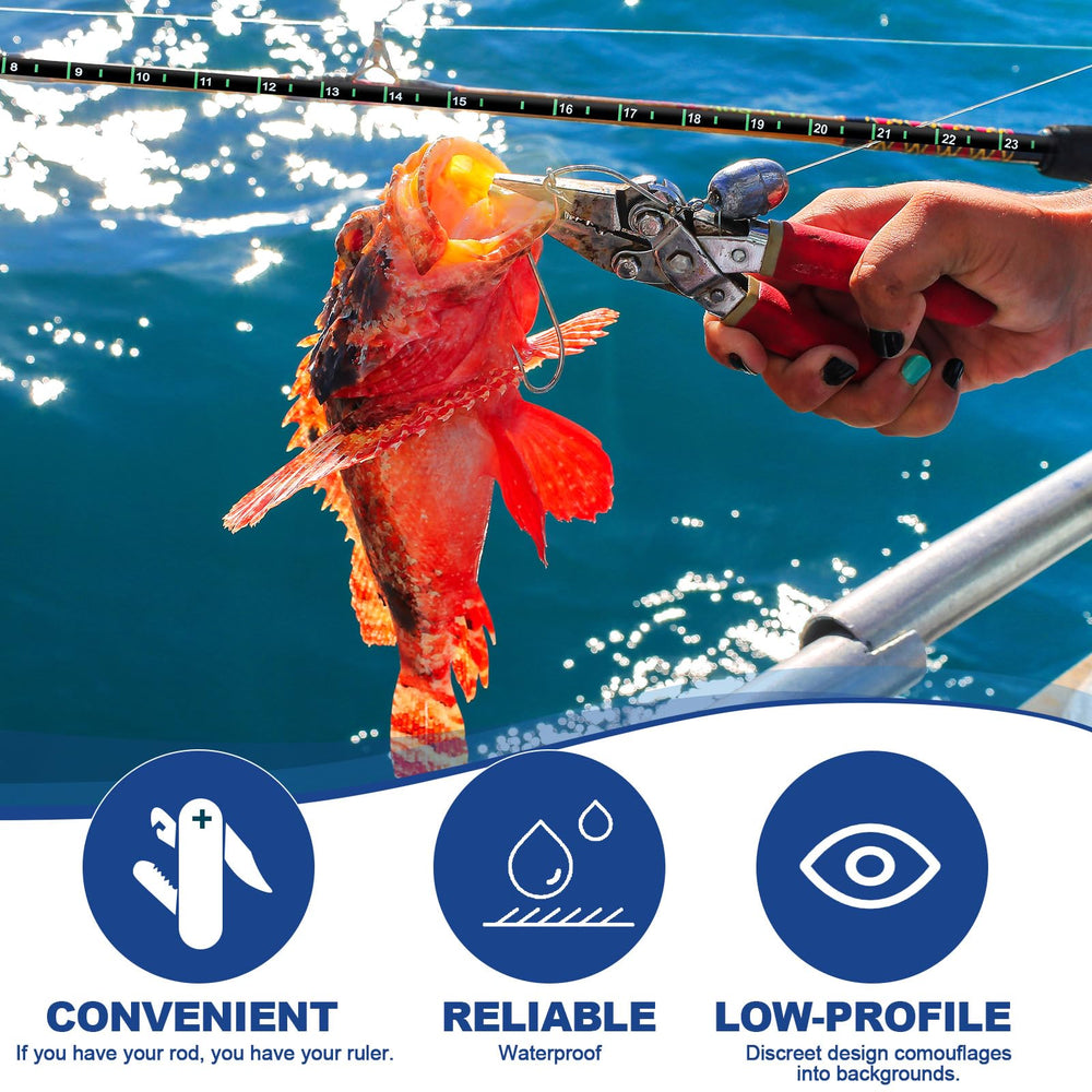 Green vinyl fish measuring decal with prominent measurement numbers