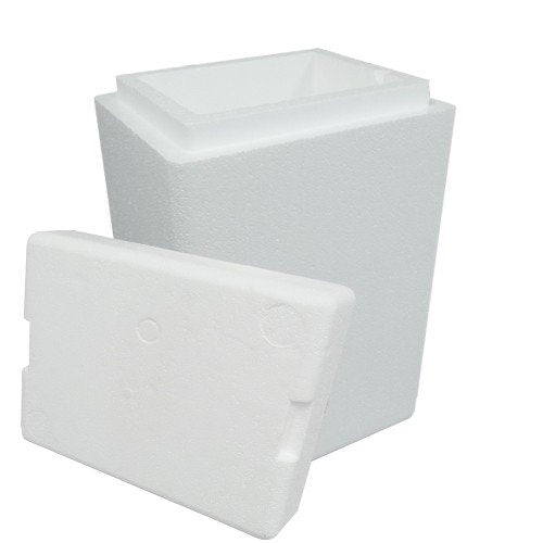 Air Sea Containers insulated cooler with lid for secure cold shipping of perishables