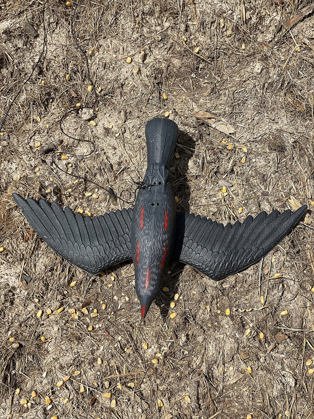 AirCrow DeadCoy Halloween ornament when hung from ceiling.