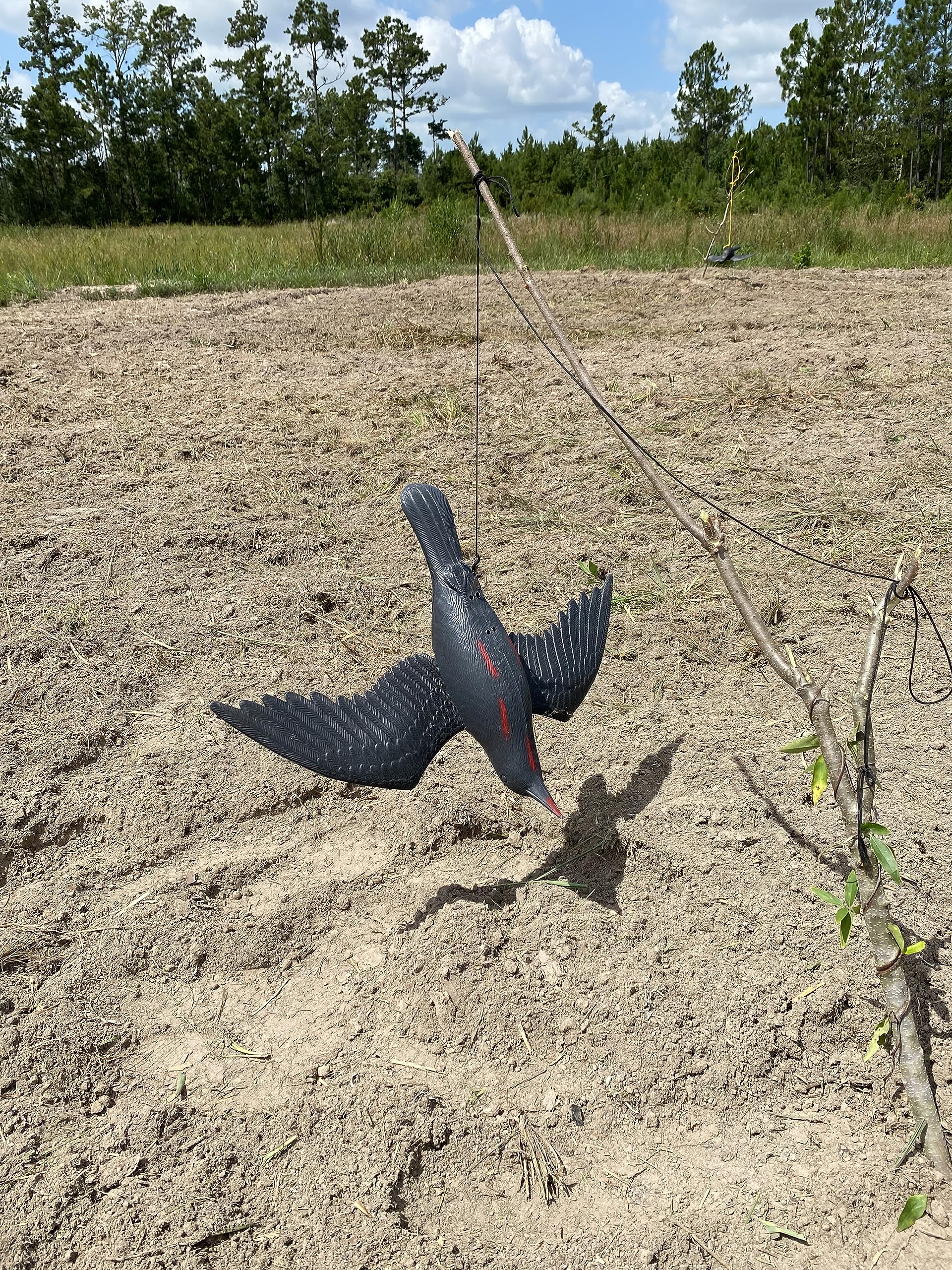 AirCrow DeadCoy durable decoy suitable for patio use.