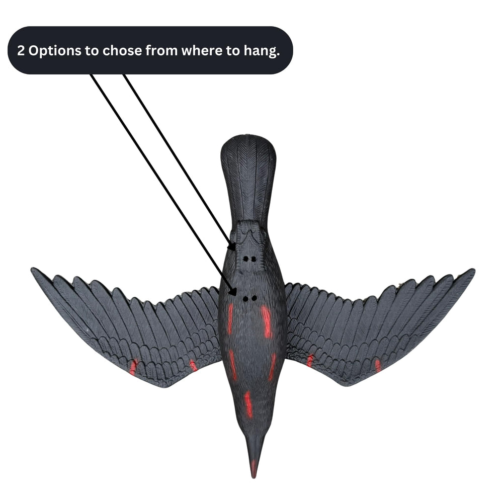 AirCrow DeadCoy two-piece durable plastic construction, weather resistant.