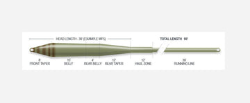 Airflo Ridge 2.0 universal taper float line on reel shows smooth tracking and control.