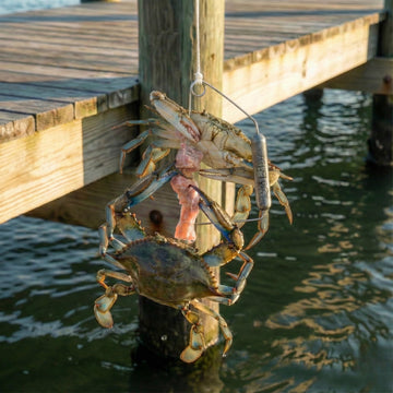 AirFly aluminum gauge, quick measurement for crabbing accuracy.