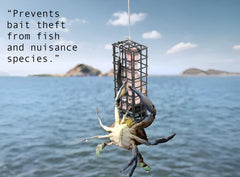 AirFly Bait Cage secured on a crab trap with bait inside