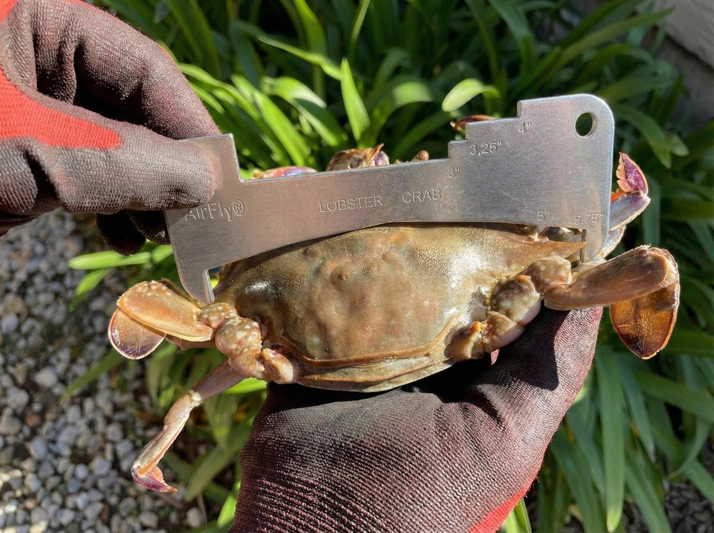 AirFly bait clip, secure bait for longer crabbing sessions.