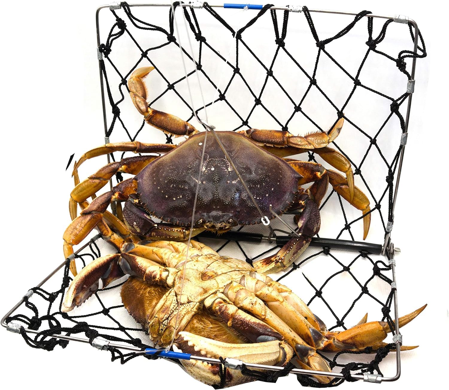 AirFly castable trap setup with rod or line ready.