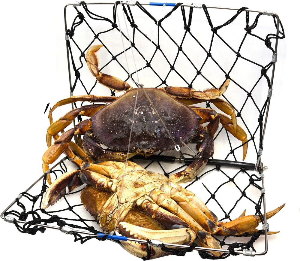AirFly castable trap setup with rod or line ready.