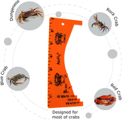 AirFly Dungeness crab size reference with clear markings for field checks.