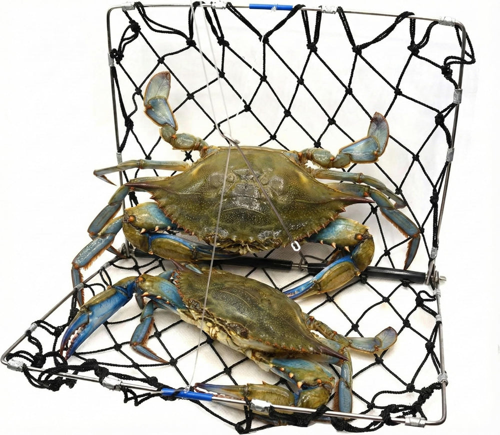AirFly marine-grade netting details for durability.