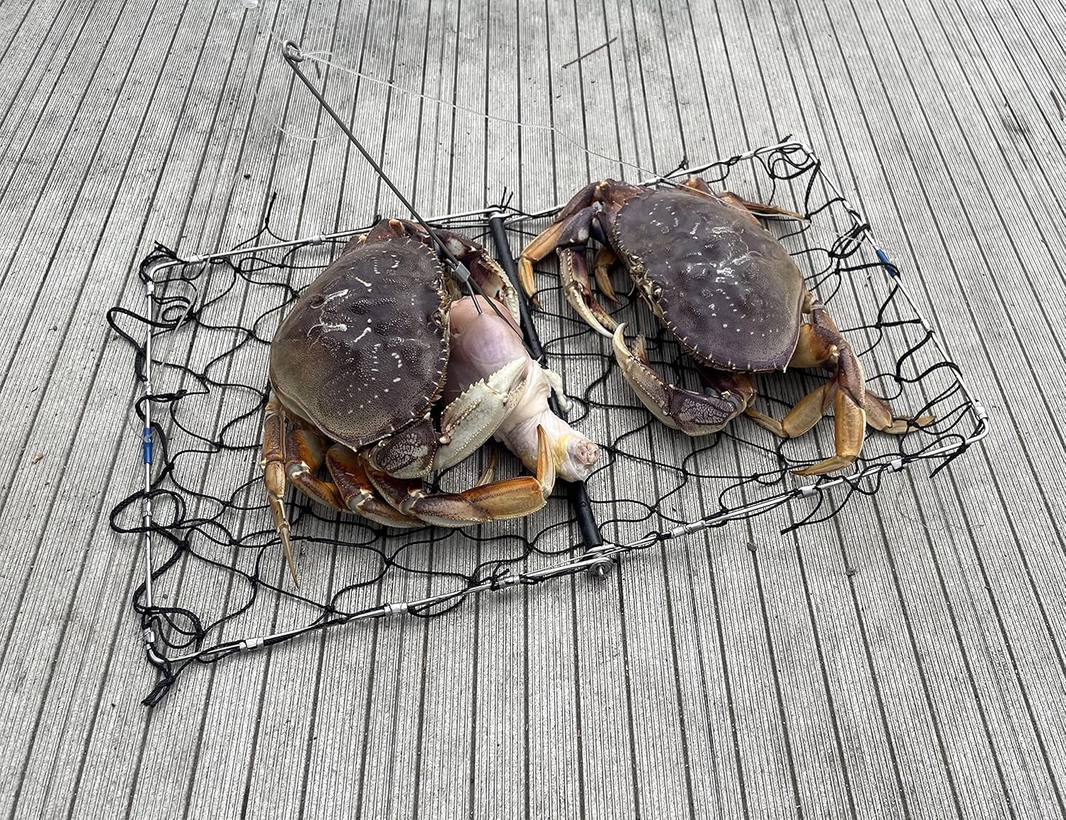 AirFly portable crab trap mounted on a boat ready for deployment.