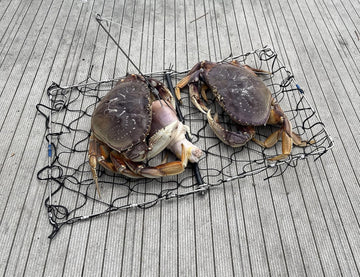 AirFly portable crab trap mounted on a boat ready for deployment.