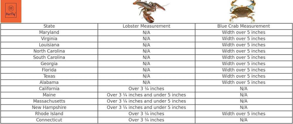 Regulation-ready lobster and crab measuring tool