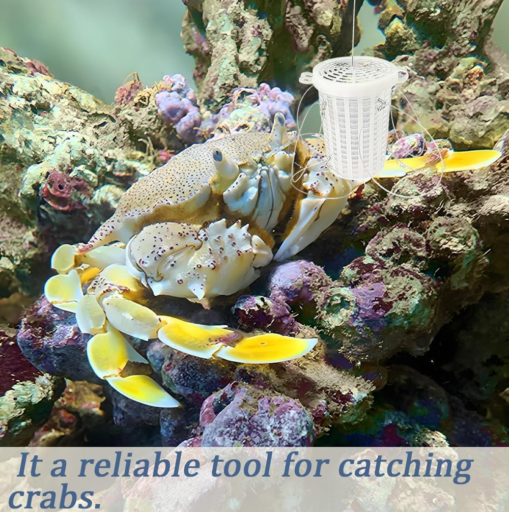 Compact and portable crab snare set for easy transport.
