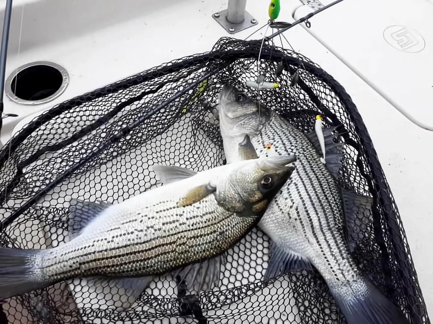 Metal sequins flash on the rig to attract fish