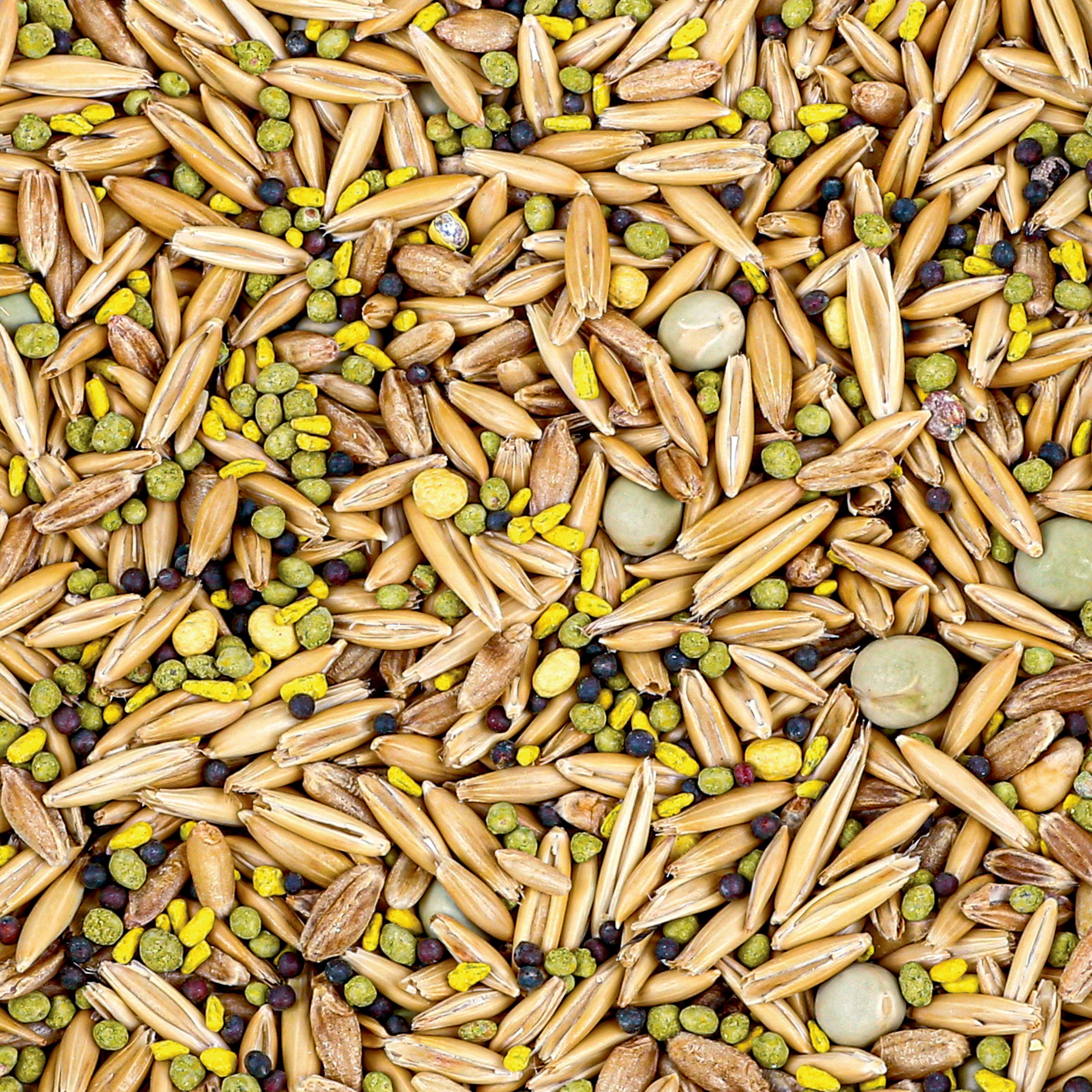 All-season deer forage seed blend for planting