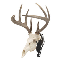 Front view of Allen Company EZ Mount Silhouette Skull Peg Black