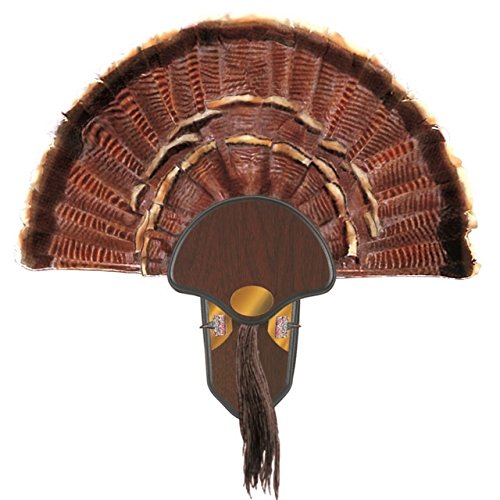 Allen mounting kit includes essentials for a memorable trophy display.