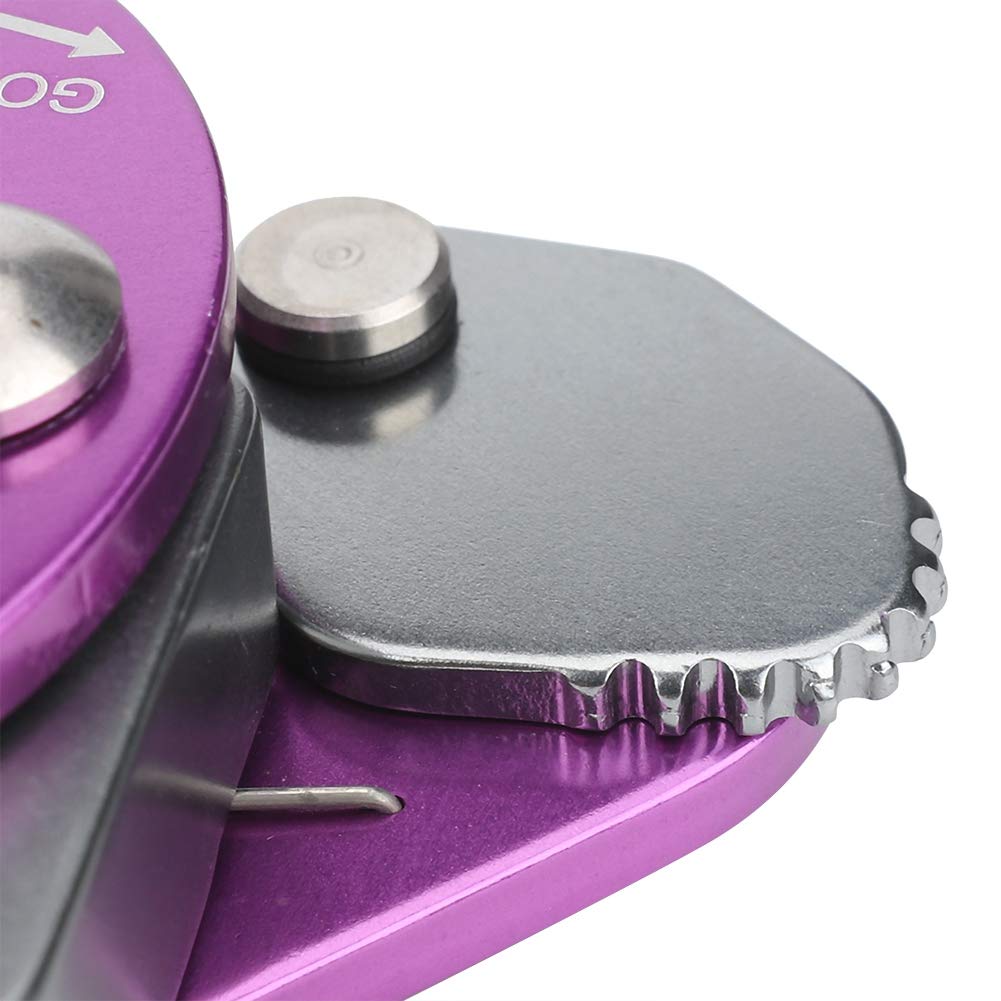 Alomejor descender for engineering tasks and mountaineering expeditions enables controlled descents.